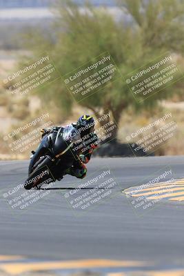 media/May-14-2023-SoCal Trackdays (Sun) [[024eb53b40]]/Turn 5 Tree of Life (1125am)/